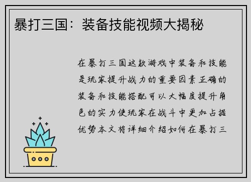 暴打三国：装备技能视频大揭秘