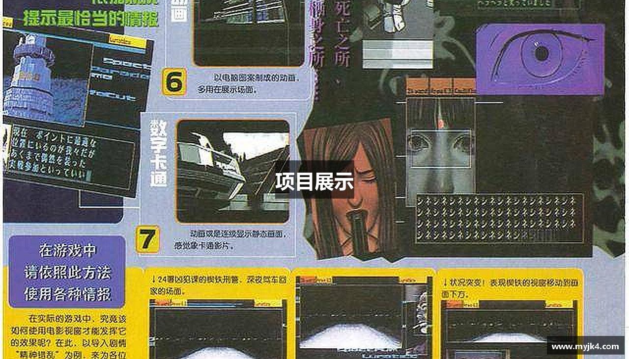 项目展示